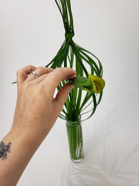 Place the calla lilies into the water tube