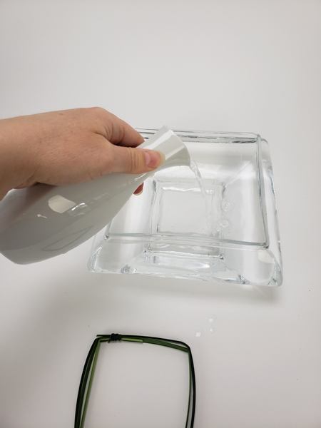Pour water into a shallow container to fill