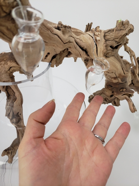 The vases are secured to stand away from the branch when filled with water The vases are secured to stand away from the branch when filled with water