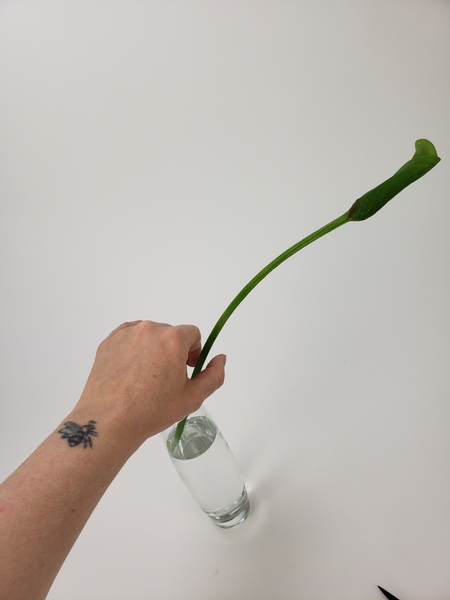 Add a long stemmed calla lily to elegantly slant to one side