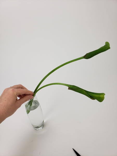 Add in another arum to gracefully curve in the same direction