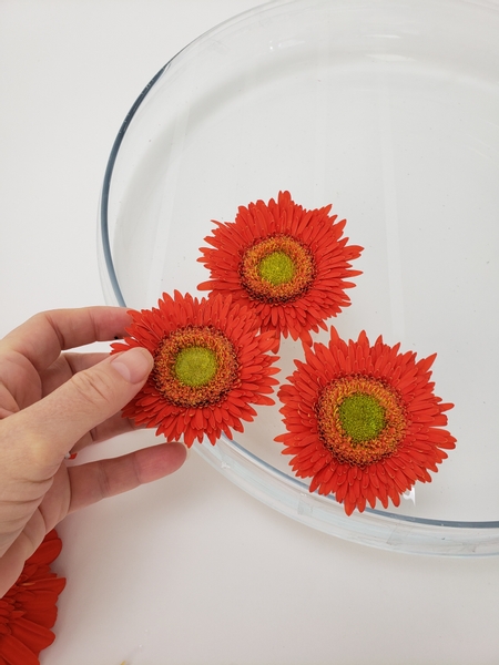Cut the stem short and rest the gerberas on the the tape to suspend the disk floret above the water