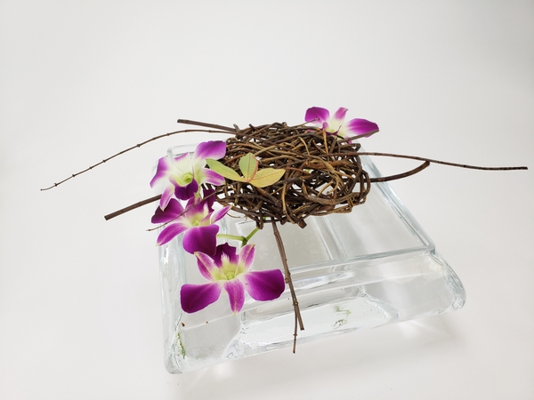 Dendrobium orchids with a willow disk and a single passion fruit leaf