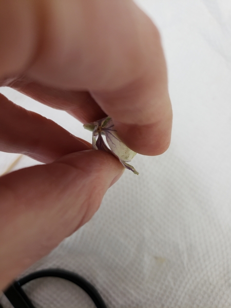 Fold a floret over to insert into the pod