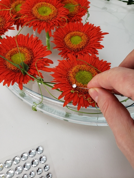 I arranged the tendrils so that they frame or point to all the tiny dew drop crystals in the disk floret