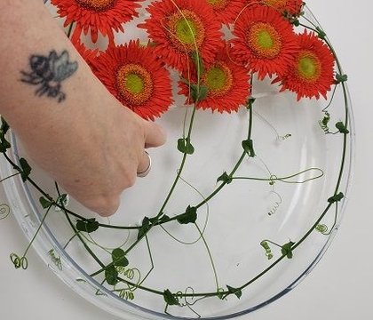 Overgrown S-Autum-mer Swirl