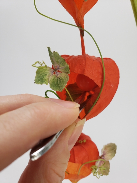 Reposition the floret to line the back inside of the pod so that you can still see the berry.jpg
