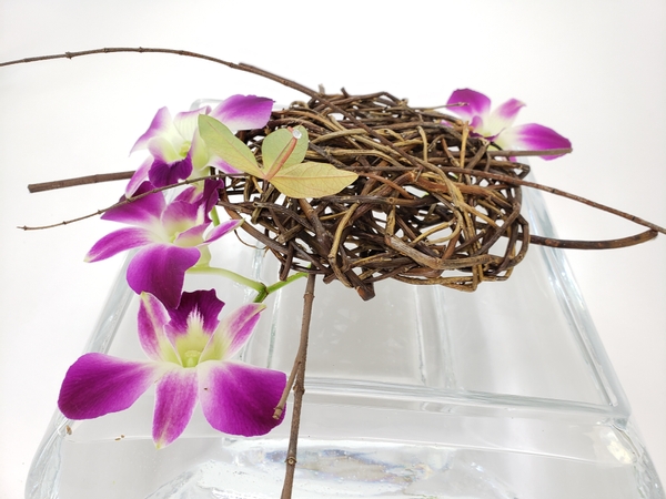 Sustainable and zero waste design with Dendrobium orchids, a willow disk and a single passion fruit leaf