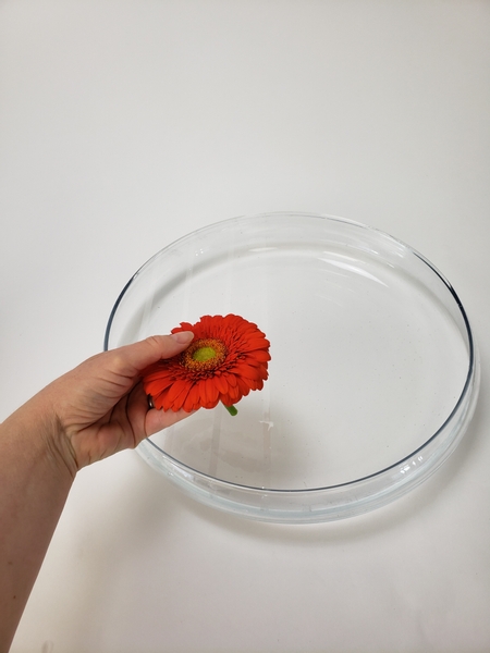 You can absolutely cut the gerbera stems short and simply rest them on the tape