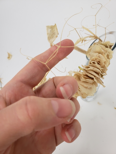 Add in a dried sweet pea vine to curve around the foliage tail