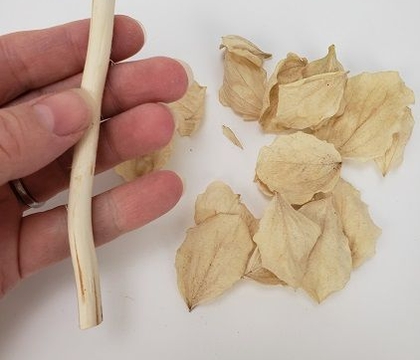 Tail End Of The Season