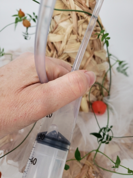 Fill the foliage covered tube with water