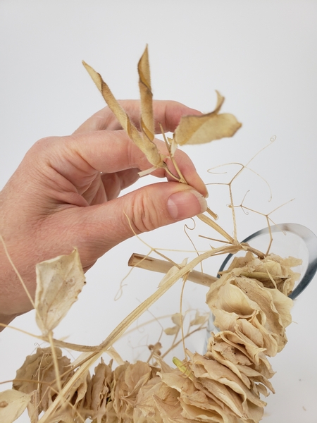 Glue in a few seedpods to the dried vine