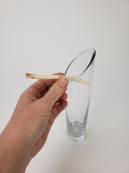 Measure the twig to sit snugly at an angle in a display vase