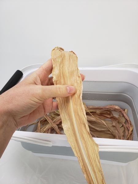 Wipe the corn foliage with a paper towel to clean