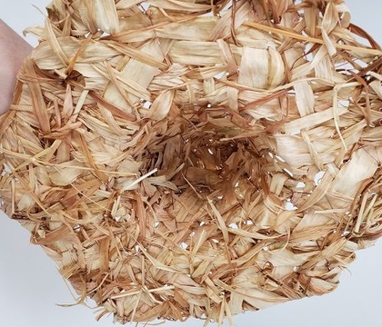 Point Witch (or Wizard) Way