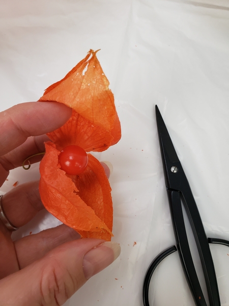 Cut the pod open to remove the berry