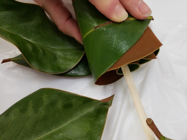 Keep the roll on the working surface and add another leaf