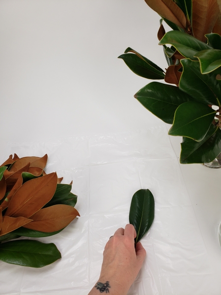 Place a magnolia leaf on a flat working surface