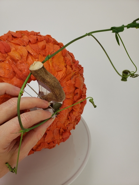 Place the passion fruit vines in water tubes and slip them into the husk pumpkin