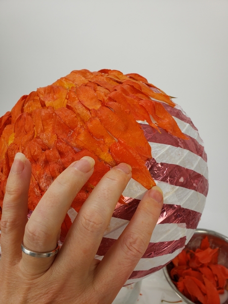 Smoothing down the husks as you go around Smoothing down the husks as you go around