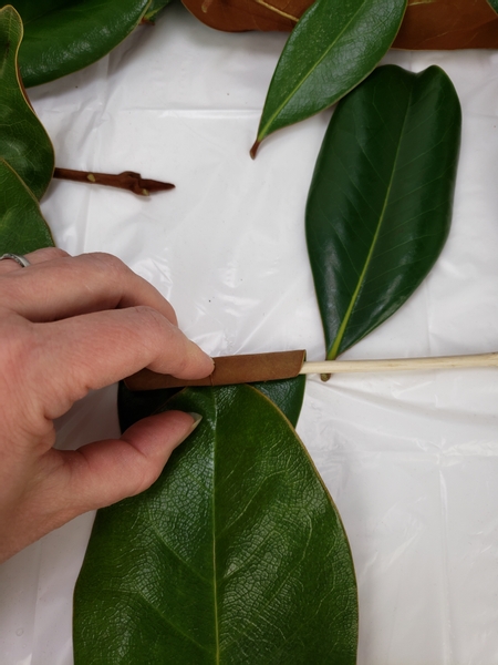 When about half of the leaf is rolled up place the next leaf and continue to roll