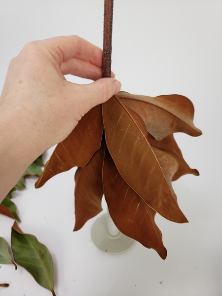 Glue in leaves all the way around