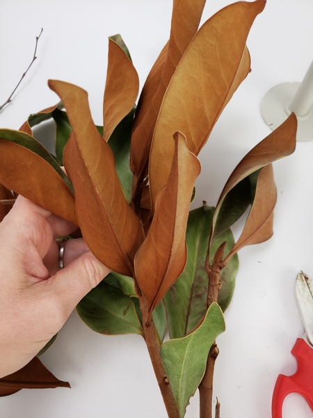 The velvety underside of these magnolia leaves is such a great way to bring warmth into your space