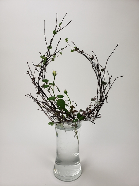 A band of snowy twigs to showcase the unexpected beauty found in your winter garden