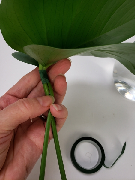 Bind two Monstera leaves with a sliver of florist tape