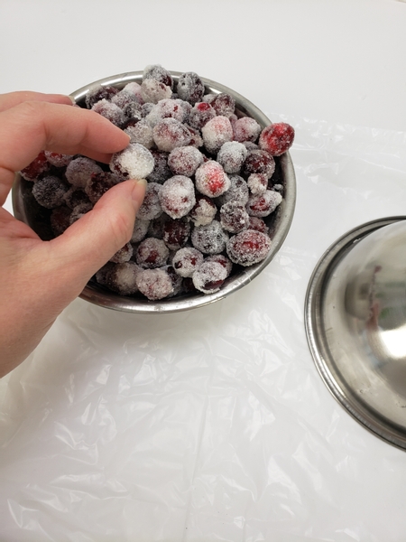 Frost a bowl of cranberries with egg and sugar