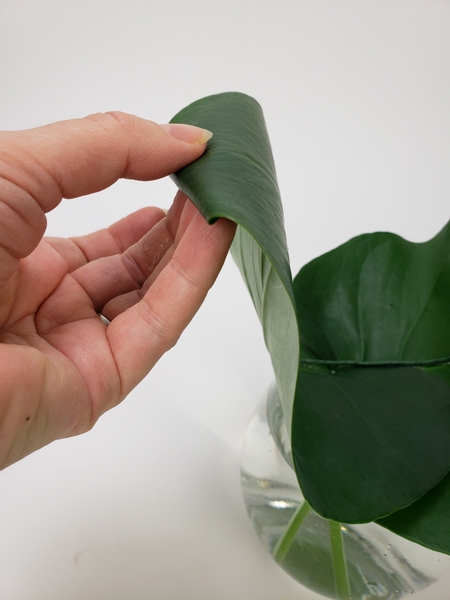 Gently roll the tip of the leaf into a tube