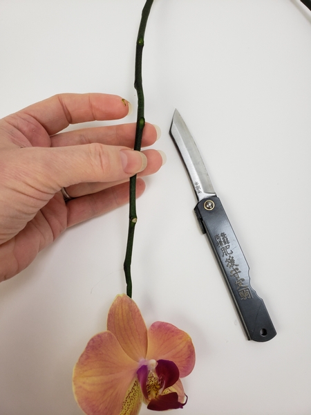 Groom the orchid spike with a sharp knife so that you have stem to insert into the armature