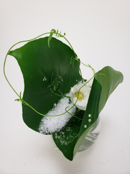 Helleborus winter flower arrangement