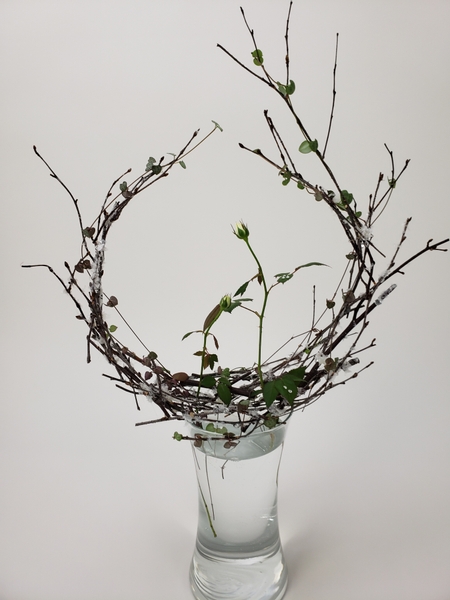 Minimal floral display that is long lasting and ever changing
