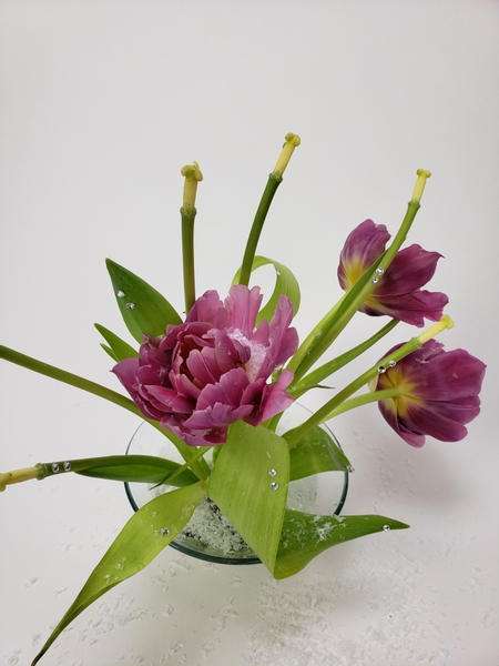 Radiating Tulip floral design