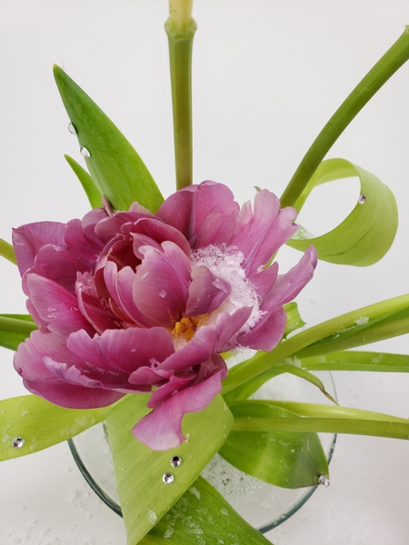 Snow on Tulip floral arrangement