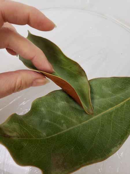 Use hot glue to secure a second leaf to overlap slightly