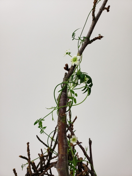 A twig basket to make to celebrate Spring a bit early