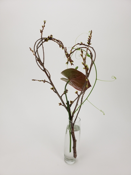 A Valentines Day display of blossom twigs and a single anthurium flower stem