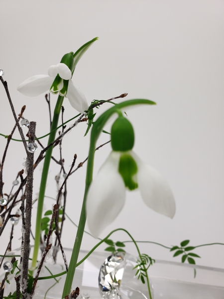 Contemporary floral art design using snowdrops and twigs