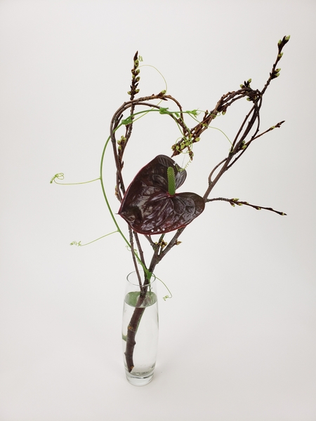 Craft a twig heart for a valentine's day bud vase