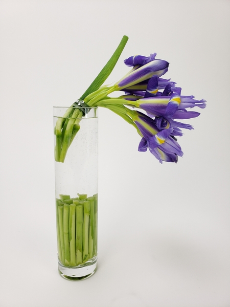 Creative ways to design with all the parts of an iris flower