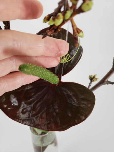 Drawing your eye towards the flower