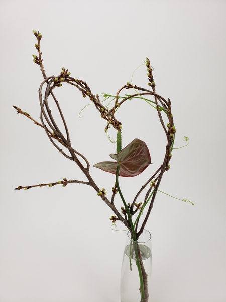 Elegant anthurium flower arranged for valentine's day