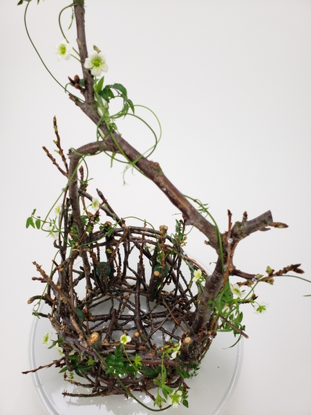 Get an early start on bringing Spring indoors by using branches to make a basket