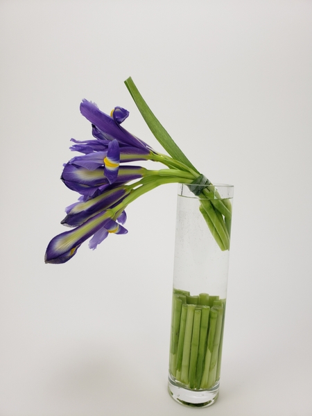 Iris buds in a bud vase for table displays