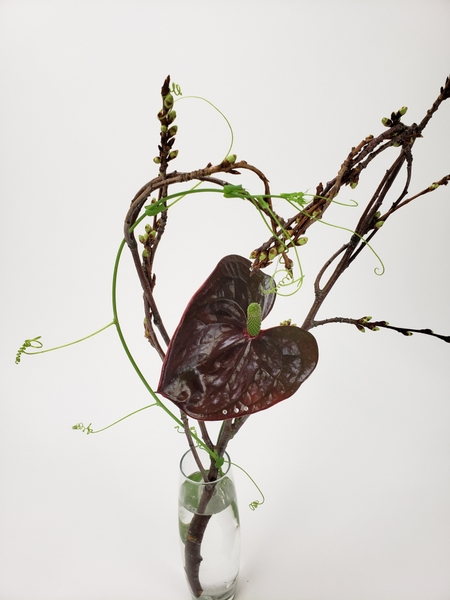 One single anthurium flower in an arrangement