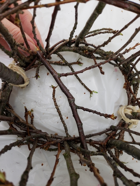 Place a sturdy twig that forks to extend over the bottom of the basket