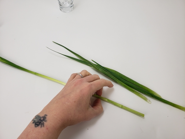 Remove the foliage from your iris flower stems and test them